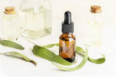 Aceite De Eucalipto Vidrio