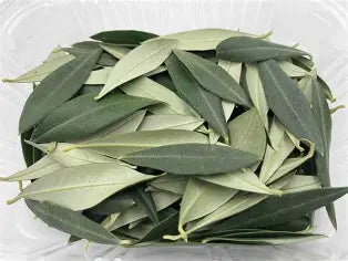 Hoja De Olivo 0.5 oz