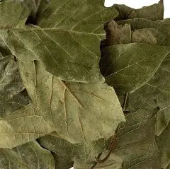 Hoja De Aguacate 0.25 oz